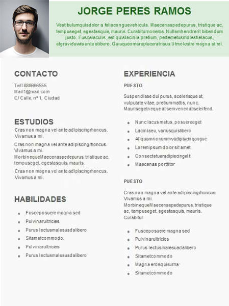 plantilla currículum foníatra